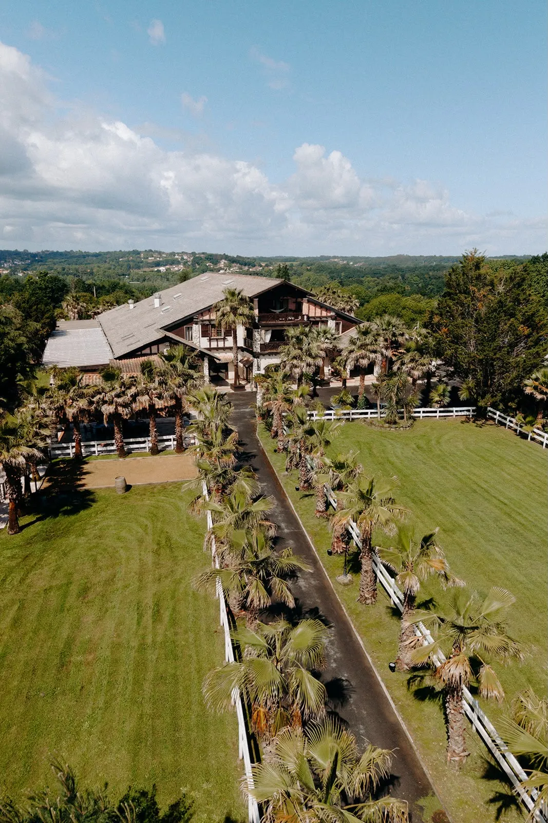 Allée des palmiers du Domaine vue du ciel